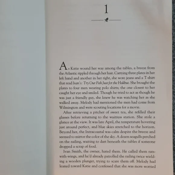 Books, Nicholas Sparks bundle, Safe Haven and The Rescue. - Picture 4 of 7